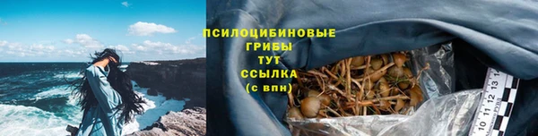 экстази Инта