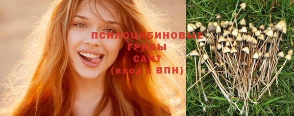 соль курить ск Инсар