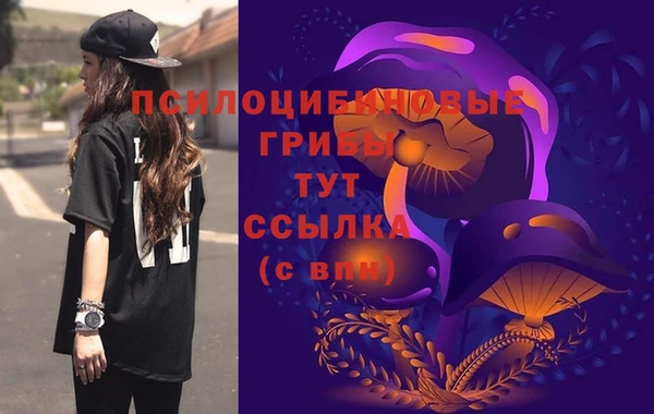 соль курить ск Инсар