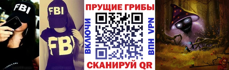 Псилоцибиновые грибы ЛСД  как найти наркотики  Каргополь 